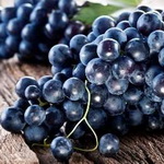 انگور، معجزه ای برای جلوگیری از آلزایمر