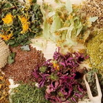 وجود بیش از ۳۰۰ گونه گیاه دارویی در لرستان