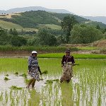 تسهیلات خود اشتغالی برای اعضای صندوق‌های خرد زنان روستایی