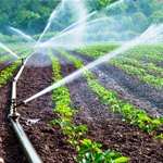 تجهیز ۱۹ درصد از اراضی کشاورزی در کشور به سامانه‌های آبیاری