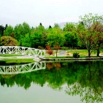 باغ ملی گیاه شناسی تهران