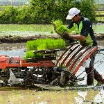 هزار و سیصد دستگاه ماشین آلات کشاورزی در مازندران پلاک‌گذاری شد