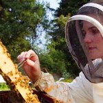 تولید نانوجاذبی برای اندازه‌گیری دقیق آفت‌کش‌ها در عسل