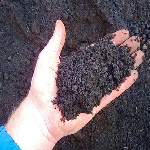 بزرگترین واحد تولید خاک پوششی در شهرستان آبیک راه اندازی شد