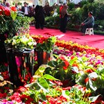 ششمین نمایشگاه سراسری گل و گیاه در اراک