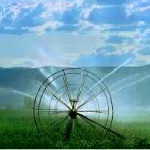 به‌روز رسانی سند ملی آب / مصرف آب در بخش کشاورزی مشخص می‌شود