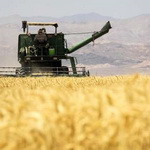 سطح زیرکشت طرح امنیت غذایی ایران سال زراعی آینده 10 برابر می شود
