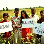 ابتکاری برای ترویج کشاورزی پنبه ارگانیک در هند