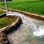 آب کشاورزی با تعرفه فروش همخوانی ندارد