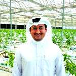 قطر به کشاورزی آب‌کشت روی آورد