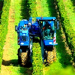 چگونه فناوری می‌تواند به کشاورزی کمک کند؟