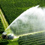 تامین ۸۵ درصد هزینه آبیاری نوین کشاورزی با دولت