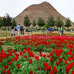 جاذبه‌های گردشگری محلات، شهر گل و گیاه ایران