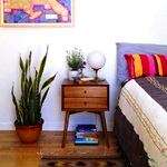 پنج گیاه آپارتمانی مناسب در دکوراسیون اتاق خواب