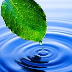 مصرف ۹۲ درصد آب‌های تجدیدپذیر کشور