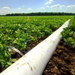 انتقال آب با لوله به صورت رایگان برای کشاورزان گالیکشی