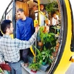 آموزش نگهداری اتوبوسی گل و گیاه در منطقه ۱۳