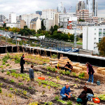 کارمندان پست در پاریس روی سقف اداره، کشاورزی می کنند