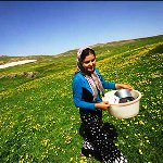 برنامه‌ریزی برای نجات کشاورزی ایران در بلندمدت
