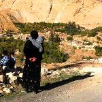 خسارت ۸۰۰ میلیارد تومانی زلزله به کشاورزی کرمانشاه