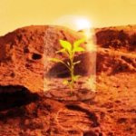 پرورش گیاه و کرم‌ خاکی در مریخ
