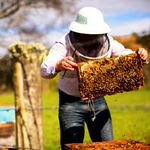 خلخال رتبه برتر تولید عسل ارگانیک را کسب کرد