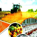 بخش کشاورزی ایران مزیت طبیعی، نسبی و رقابتی دارد