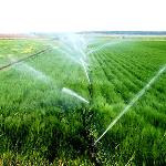ضرورت مدیریت مصرف آب کشاورزی