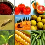 متوسط نیاز آبی محصولات کشاورزی در ایران چقدر است؟ 