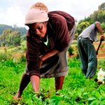 کمک هزینه تحصیلی برای زنان کشاورز