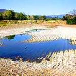 اختصاص 350 میلیون دلار برای انتقال آب کشاورزی به اراضی سیستان