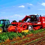 افزایش شمار ماشین آلات مکانیزه کشاورزی در هرمزگان