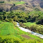  کشاورزی مهمترین بخش اقتصادی کردستان است