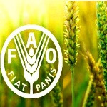 فائو خواستار تحول کشاورزی برای حفاظت از محیط‌زیست شد