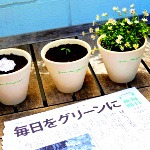 روزنامه سبز ژاپنی که به گیاه تبدیل می‌شود