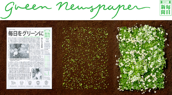گالری تصاویر - اختراع روزنامه سبز ژاپنی که به گیاه تبدیل می‌شود