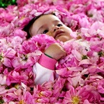 جشنواره گل غلتان در خاتم یزد
