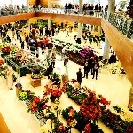 پایانه‌ صادراتی گل و گیاه در تهران راه‌اندازی می‌شود
