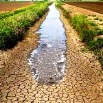نقطه اشتراکی تلخ در مواجهه با بحران آب و خشکسالی