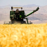 توسعه کشاورزی ایران فاصله زیادی با دنیا دارد