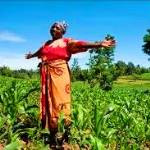 میوه و سبزیجات در غنا: تاثیر کیفیت بالاتر محصولات کشاورزی در افزایش درآمد
