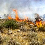 خطر آتش سوزی مراتع را تهدید می‌کند