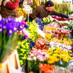 رکود بازار گل با افزایش 300 درصدی قیمت مصنوعات گل