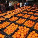 راه‌اندازی پایانه صادراتی محصولات کشاورزی قزوین