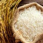 احتکار برنج و عرضه‌ی برنج خارجی در کیسه‌ی ایرانی بلای جان بازار برنج