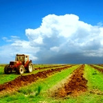 اجرای طرح پهنه‌بندی کشاورزی، سیاست‌ وزارت جهاد کشاورزی