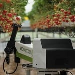 جمع آوری سبزیجات به کمک ربات‌ها