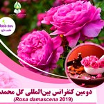 برگزاری دومین کنفرانس بین‌المللی گل محمدی در آبان