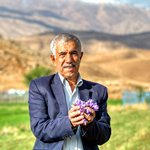 سهم ایران از تجارت جهانی زعفران کمتر از ۱۰ درصد است