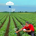 بررسی چالش‌های فناوری نوین باغداری هوشمند در کشاورزی